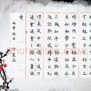 冷星辰(少儿组 13岁)硬笔书法大赛 入围作品选登图片欣赏