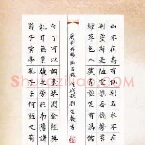 刘佳鑫(少儿组 13岁)硬笔书法大赛 入围作品选登图片欣赏