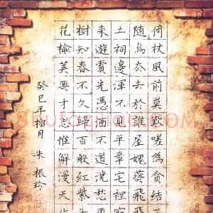 朱振玲 硬笔楷书作品《落花诗》图片欣赏