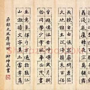 钟坤辰(少儿组 16岁)硬笔书法大赛 入围作品选登图片欣赏