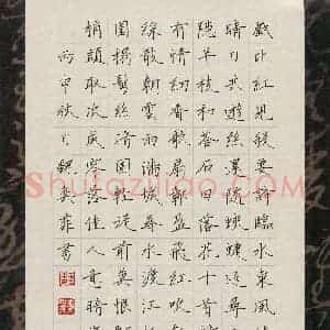 魏奕菲(少儿组 14岁)硬笔书法大赛 入围作品选登图片欣赏