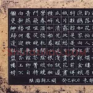 朱振玲 硬笔楷书作品《陆游词》图片欣赏