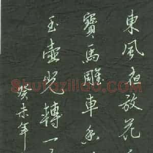 硬笔作品《行书 辛弃疾词一首》图片欣赏