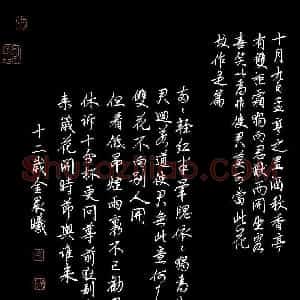 金晨曦(少儿组 12岁 特等奖)硬笔书法大赛 获奖作品图片欣赏