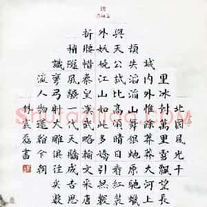 林宸磊(少儿组 9岁)硬笔书法大赛 入围作品选登图片欣赏
