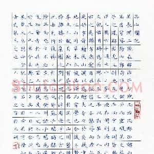 衣忠贤(成人组 精品奖)硬笔书法大赛 获奖作品图片欣赏