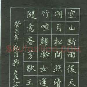 硬笔楷书作品《王维诗一首》图片欣赏