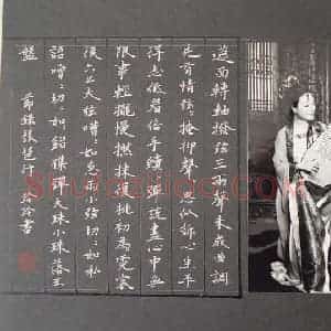 何玲玲 硬笔楷书作品《节录白居易琵琶行》图片欣赏
