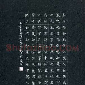 梁澍(少儿组 14岁)硬笔书法大赛 入围作品选登图片欣赏