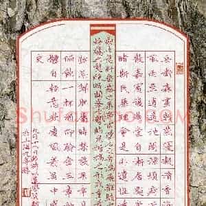 吴钢(成人组 优秀奖)硬笔书法大赛 获奖作品图片欣赏
