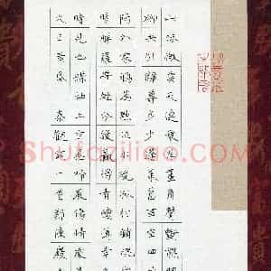 郑陈岩(少儿组 11岁)硬笔书法大赛 入围作品选登图片欣赏