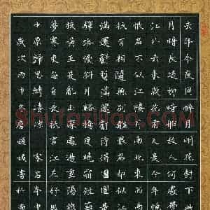 詹媛媛(少儿组 11岁)硬笔书法大赛 入围作品选登图片欣赏
