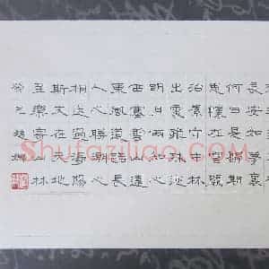 赵娜 硬笔隶书作品《唐诗选抄》图片欣赏