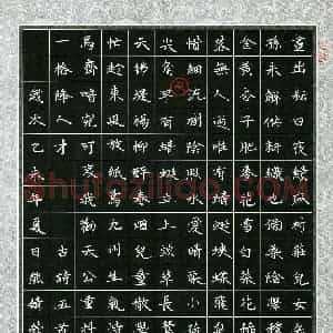 熊婧蓉(少儿组 13岁)硬笔书法大赛 入围作品选登图片欣赏