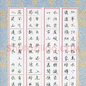 张淳(少儿组 15岁)硬笔书法大赛 入围作品选登图片欣赏