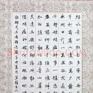 吴剑 硬笔楷书作品《毛泽东诗》图片欣赏
