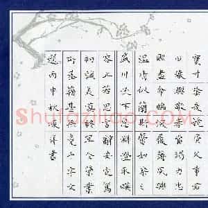赵峻洋(少儿组 10岁)硬笔书法大赛 入围作品选登图片欣赏