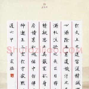 李卓宸(少儿组 11岁)硬笔书法大赛 入围作品选登图片欣赏