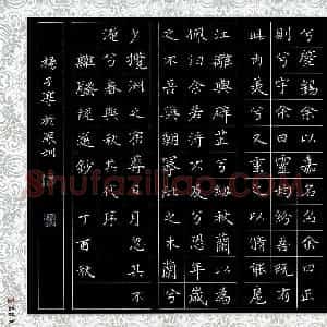 杨子淳(少儿组 13岁 特等奖)硬笔书法大赛 获奖作品图片欣赏