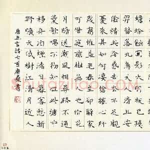 唐燊(少儿组 11岁)硬笔书法大赛 入围作品选登图片欣赏