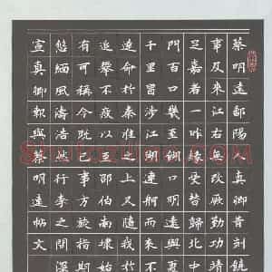 邵启平 硬笔楷书作品《颜真卿与与蔡明远帖》图片欣赏