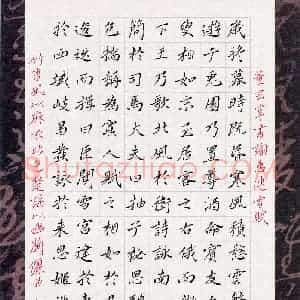袁樊(少儿组 13岁)硬笔书法大赛 入围作品选登图片欣赏