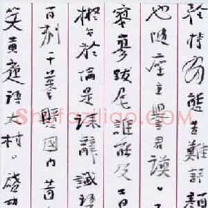 颜晓军 硬笔行书作品《启功论书诗》图片欣赏
