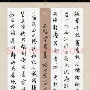 杨东晗(少儿组 14岁)硬笔书法大赛 入围作品选登图片欣赏
