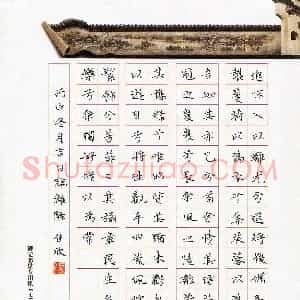 张佳欣(少儿组 13岁)硬笔书法大赛 入围作品选登图片欣赏