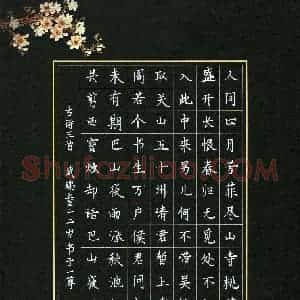 武瑞童(少儿组 12岁)硬笔书法大赛 入围作品选登图片欣赏