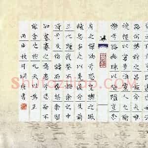 杨石明康(少儿组 12岁)硬笔书法大赛 入围作品选登图片欣赏