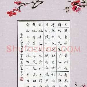 杨晨婳(少儿组 13岁)硬笔书法大赛 入围作品选登图片欣赏