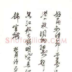 王堂兵 硬笔行草作品《杜甫诗一首》图片欣赏