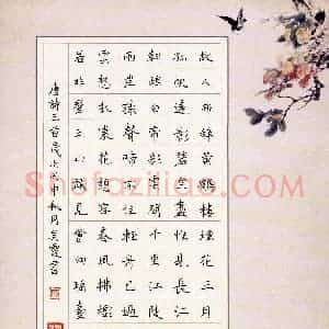吴霞(少儿组 11岁)硬笔书法大赛 入围作品选登图片欣赏
