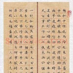 王志文(成人组)硬笔书法大赛 入围作品选登图片欣赏