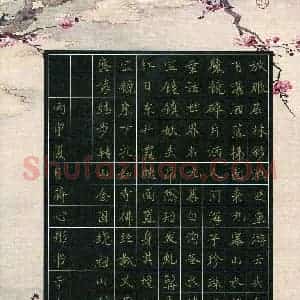 蒋心彤(少儿组 11岁)硬笔书法大赛 入围作品选登图片欣赏