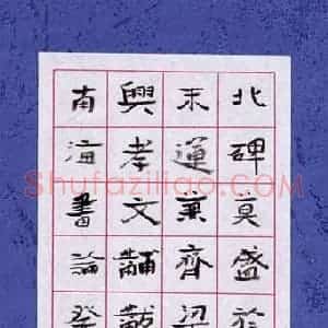 颜晓军 硬笔楷书作品《康有为书论》图片欣赏