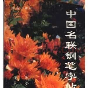 卢中南 中国名联钢笔字帖