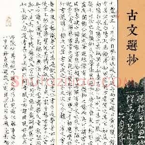李飞亮(成人组)硬笔书法大赛 入围作品选登图片欣赏