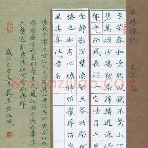 聂军(成人组)硬笔书法大赛 入围作品选登图片欣赏