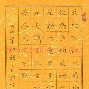 宁金鹏 硬笔楷书作品《录道德文句》图片欣赏