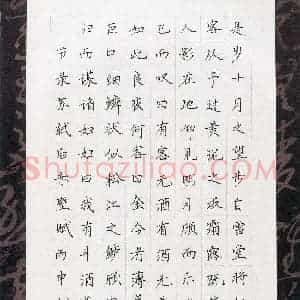 钱荷悦(少儿组 12岁)硬笔书法大赛 入围作品选登图片欣赏