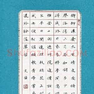 文茜(成人组 优秀奖)硬笔书法大赛 获奖作品图片欣赏