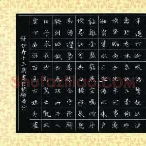 孙伊卉(少儿组 13岁)硬笔书法大赛 入围作品选登图片欣赏