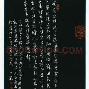 高文龙(成人组)硬笔书法大赛 入围作品选登图片欣赏