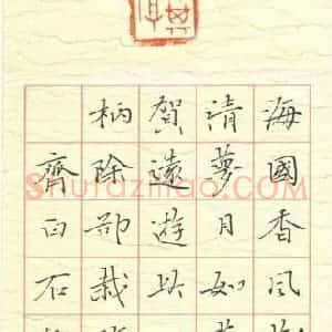 颜晓军 硬笔楷书作品《齐白石梅花二首》图片欣赏