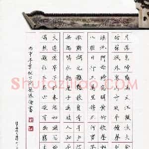 孙振伦(少儿组 11岁)硬笔书法大赛 入围作品选登图片欣赏