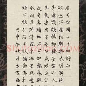 方雪燕(少儿组 12岁)硬笔书法大赛 入围作品选登图片欣赏