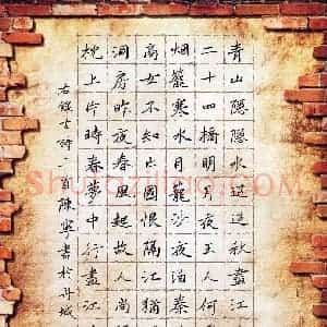 陈宁(少儿组 15岁)硬笔书法大赛 入围作品选登图片欣赏