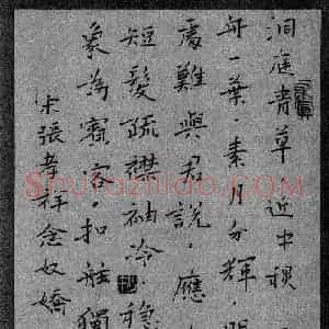宁金鹏 硬笔楷书作品《张孝祥念奴娇》图片欣赏